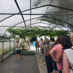 Besichtigung Rieger-Hofmann GmbH